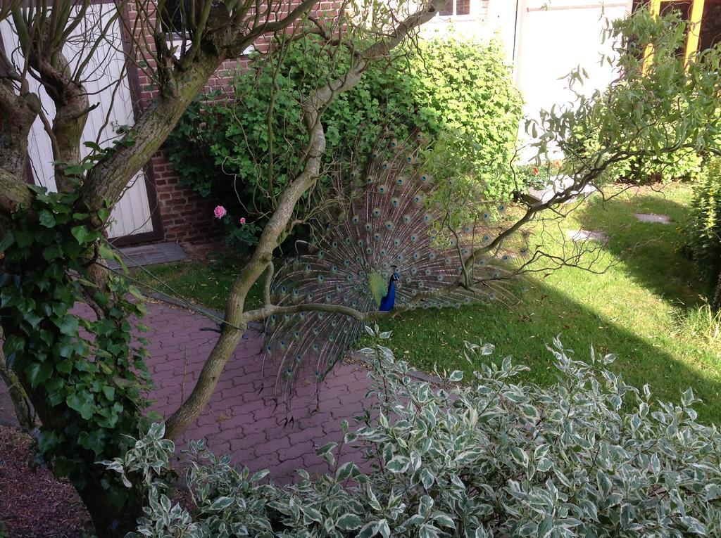 Bed and Breakfast La Cense Des 6 Sens Beugny Esterno foto
